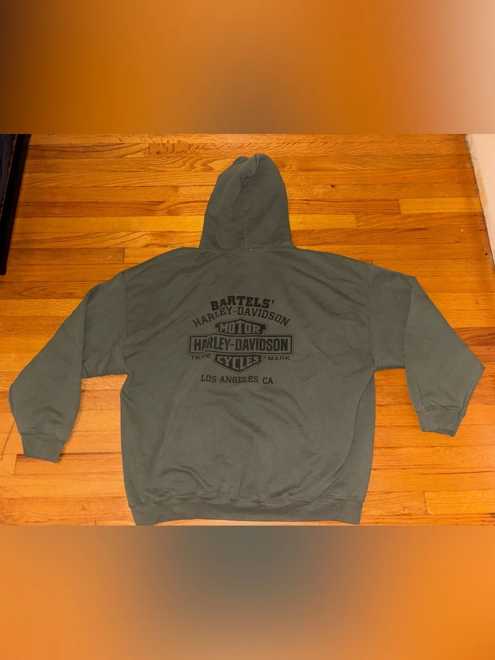 Harley-Davidson Green Pullover Hoodie Logo Graphic Print Pockets Mens 3XL